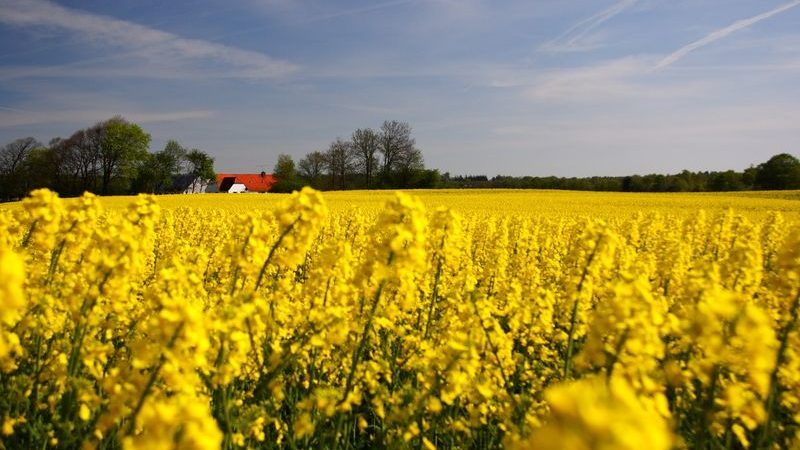 Das macht Dänemark in diesem Jahr zum Reise-Highlight