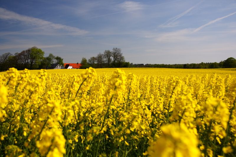 Das macht Dänemark in diesem Jahr zum Reise-Highlight