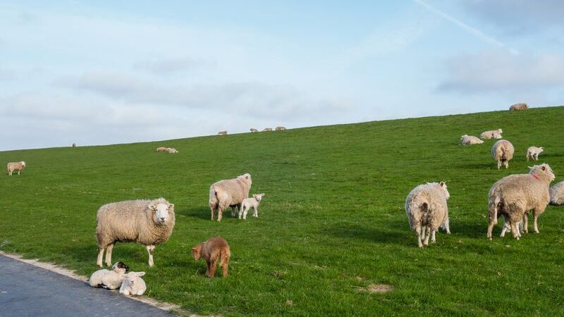 Erleben Sie Entspannung und Natur pur